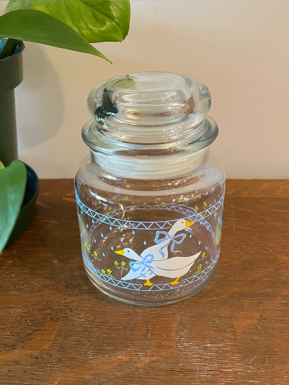 Vintage 1987 anchor hocking glass goose container